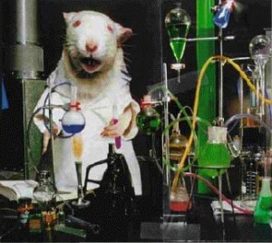 lab-rat
