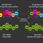 Full Spectrum CBD, Isolates, Broad Spectrum CBD-What's the difference?
